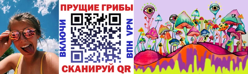 Галлюциногенные грибы Magic Shrooms  Купить  Александровское 